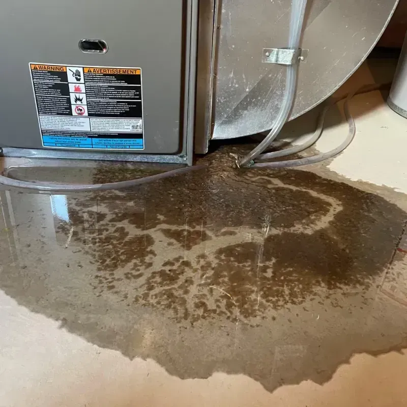 Appliance Leak Cleanup in Norman County, MN